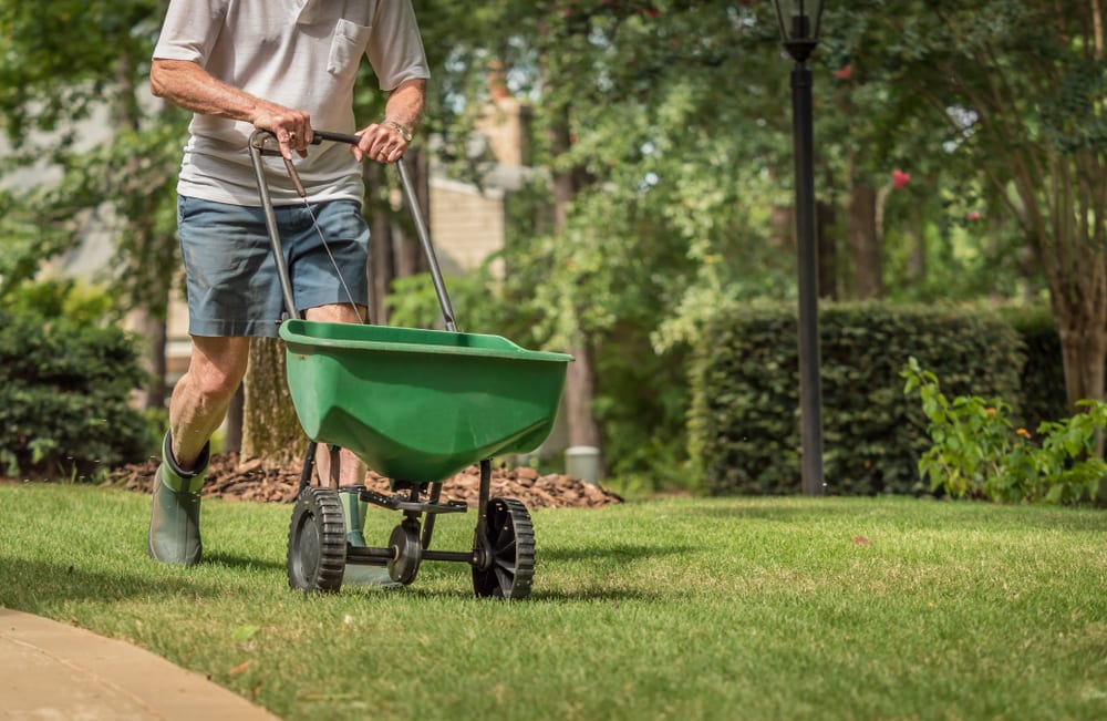 man fertilizing grass