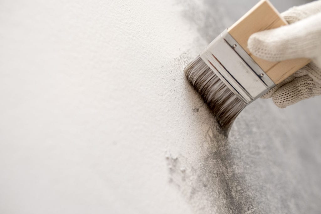 The 7 Best Cement and Concrete Paints to Use in 2021 | MYMOVE