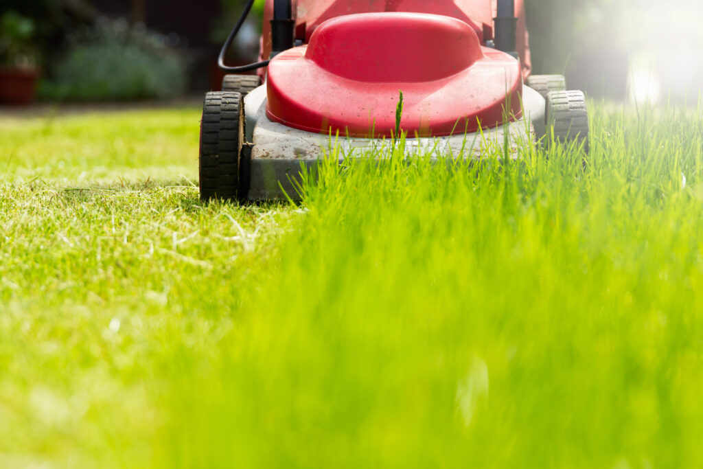 Red lawn mower cutting grass, close up of cut grass