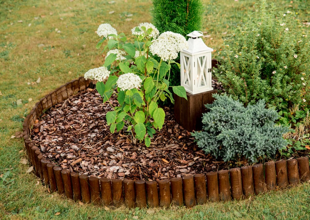 23 Ideas to Perfect Your Landscape Edging MYMOVE