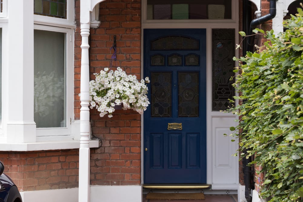 View of Beautiful White Petunia Flower in Hanging Basket are Next to Navy Blue Front Door of House