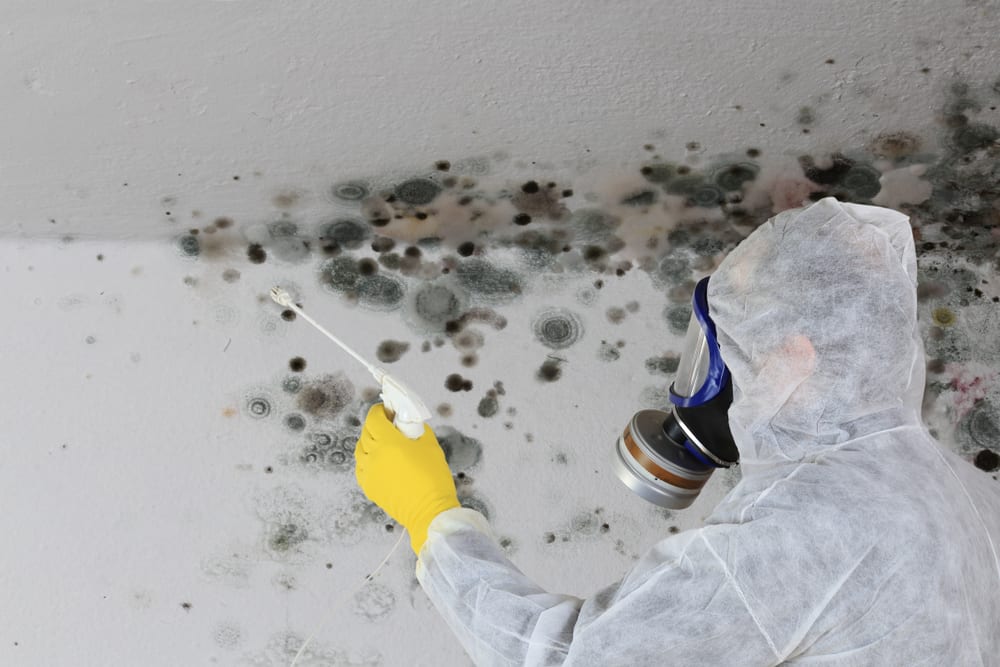 guy spraying mold in basement