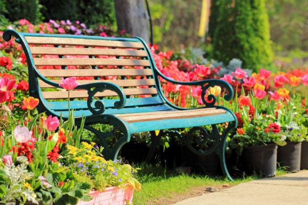 Vintage bench in flower garden