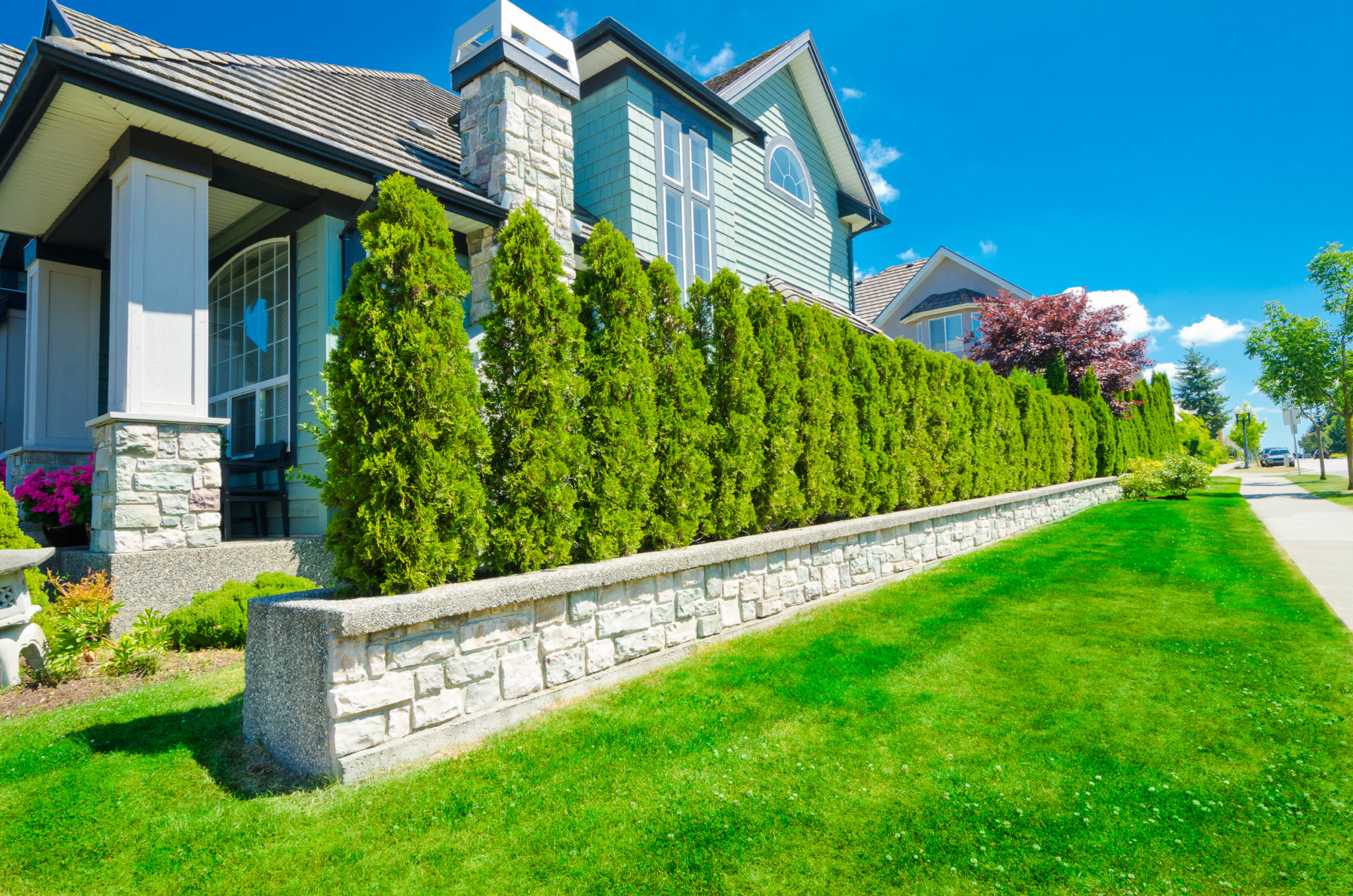 25 Cheap Landscaping Ideas That Fit Your Budget MYMOVE
