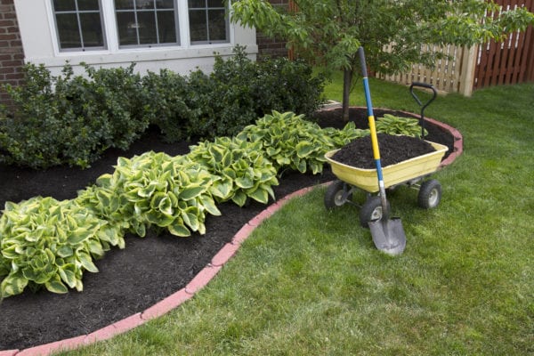 Mulch bed landscape next to window