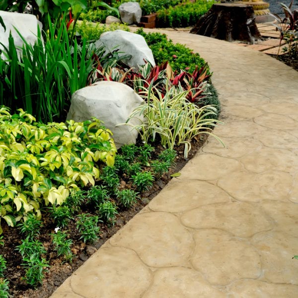 Landscaping alongside stone walkway with different types of plants