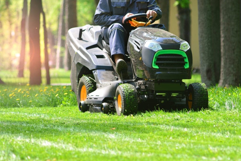 Person riding a lawn mower and the grass in a garden