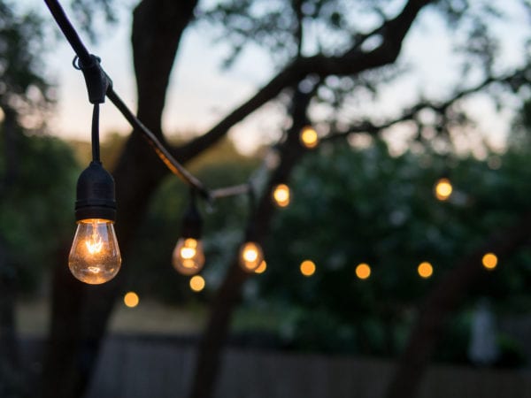 Decorative outdoor string lights hanging on tree at sunset