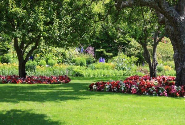 Tree bordered with beautiful white, pink, and red flowers