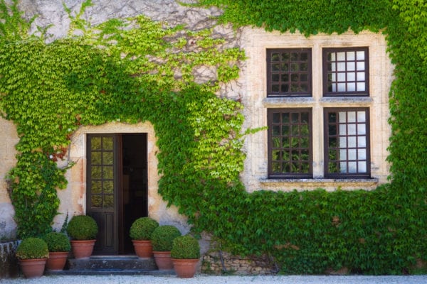 Ivy clad house photographed in the Dordogne region of France