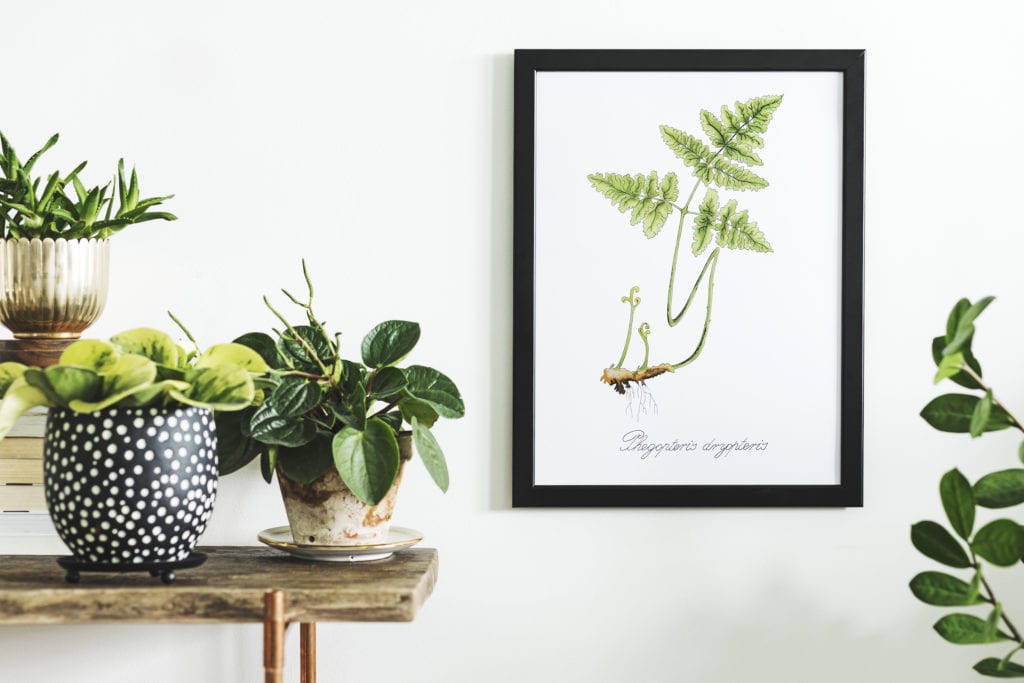 Modern scandinavian wall art featuring plants