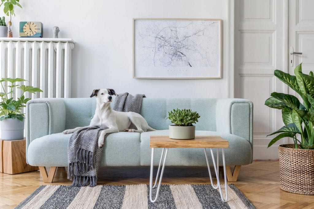 Living room with dog on sofa and map-style wall art