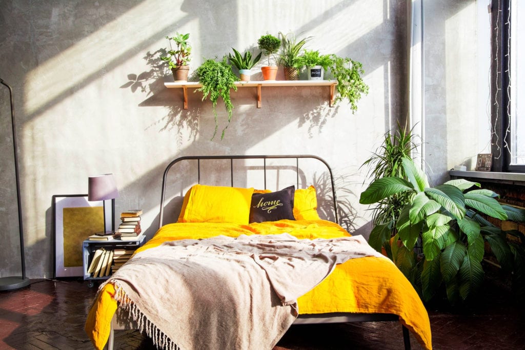 Decorate Bedroom With Plants