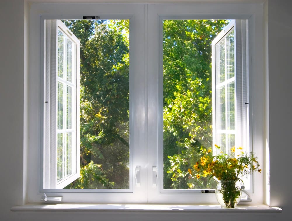 Cooler Home in Summer Tree Outside Window