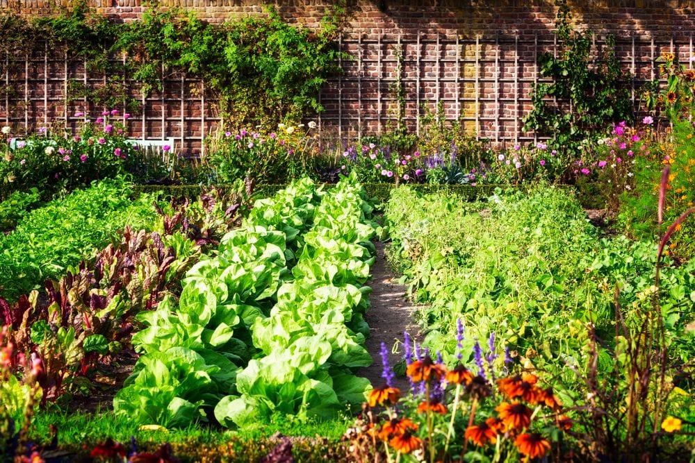 Gardening is fulfilling and provides beauty and nutrition. 