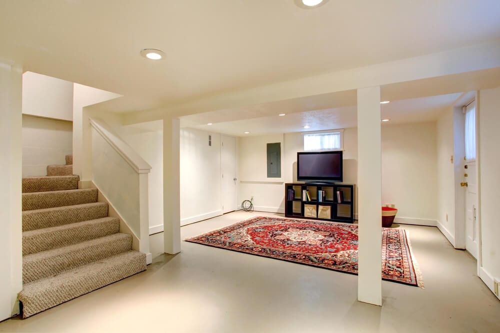 Organized Basement Rug and TV