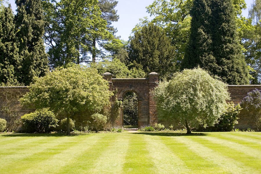 Stripe Your Lawn Lined Style