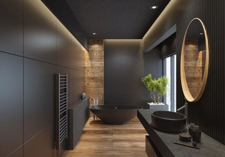 Color black bathroom