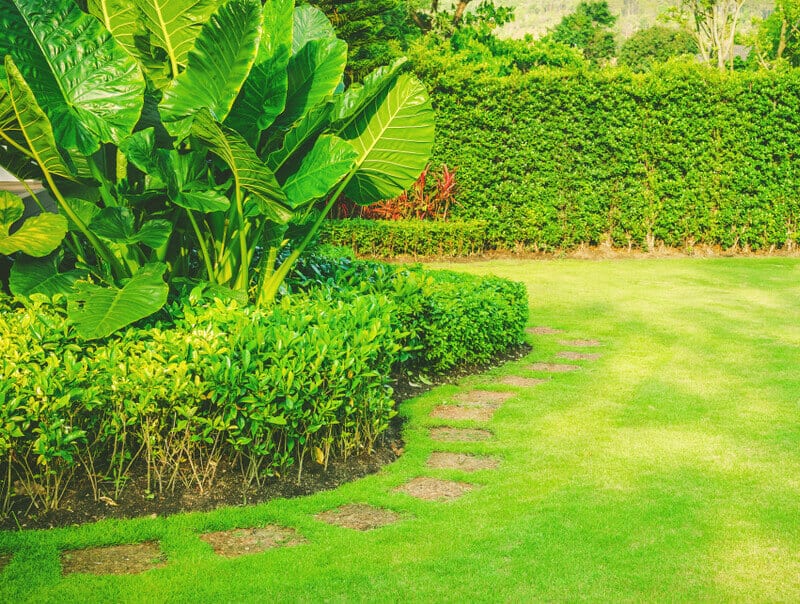 garden color palette - monochrome