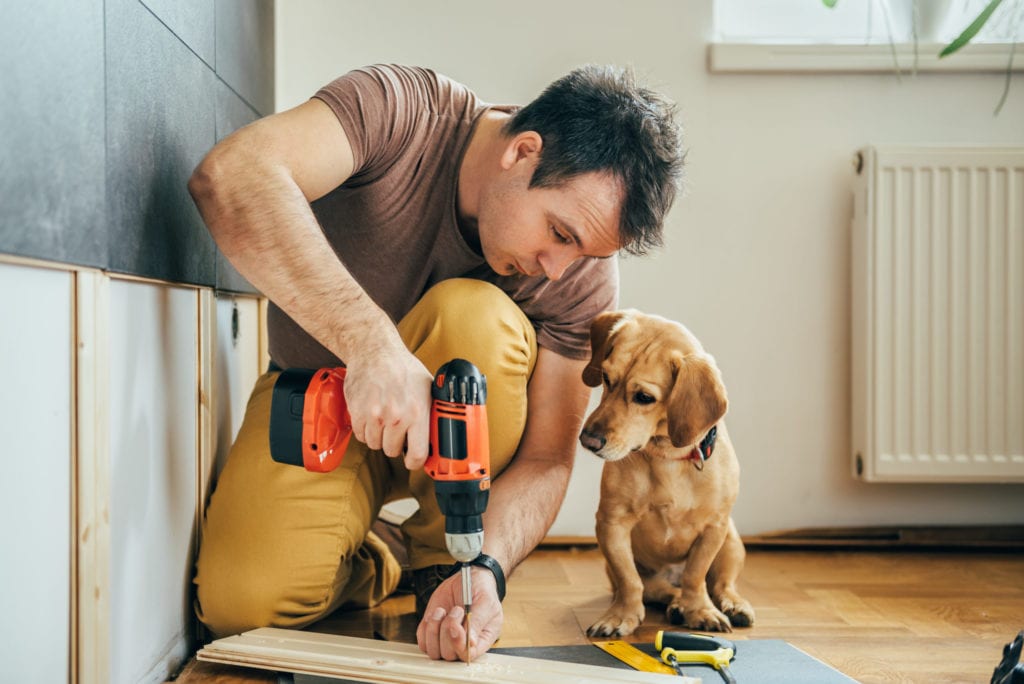 man renovating home with dog