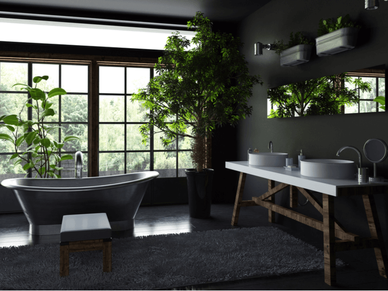 Black painted bathroom with natural accents