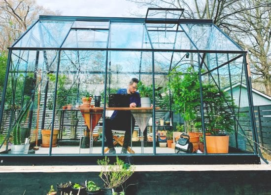 Work from home in greenhouse