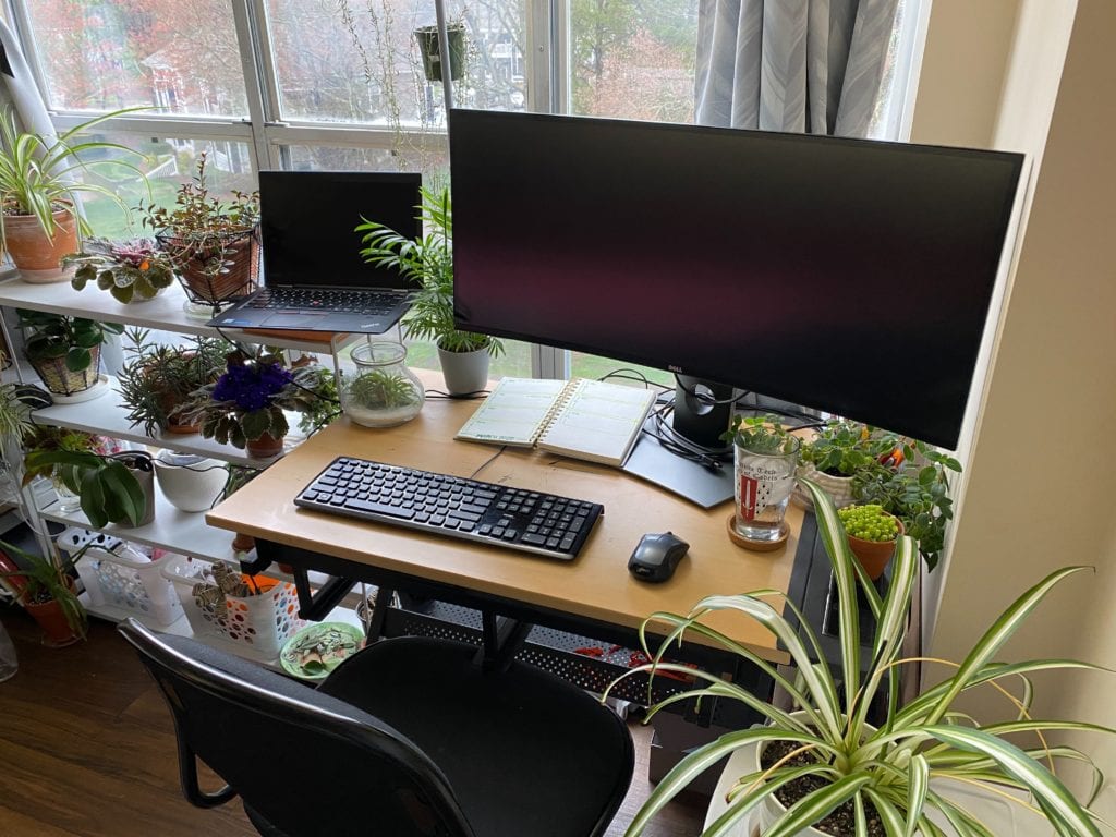 working from home setups