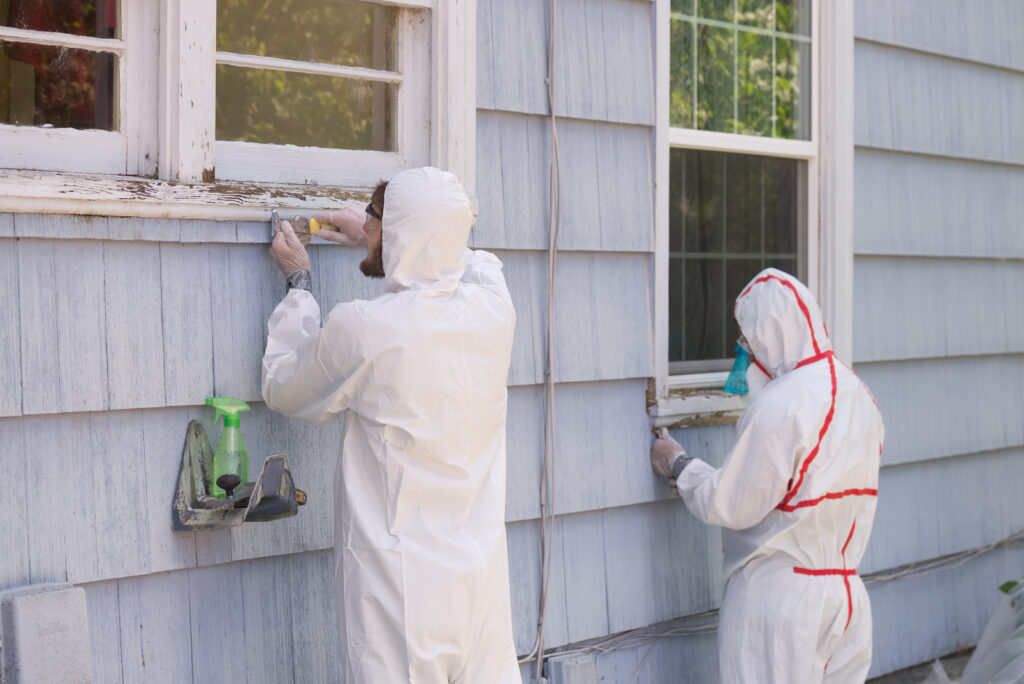 Lead paint removal