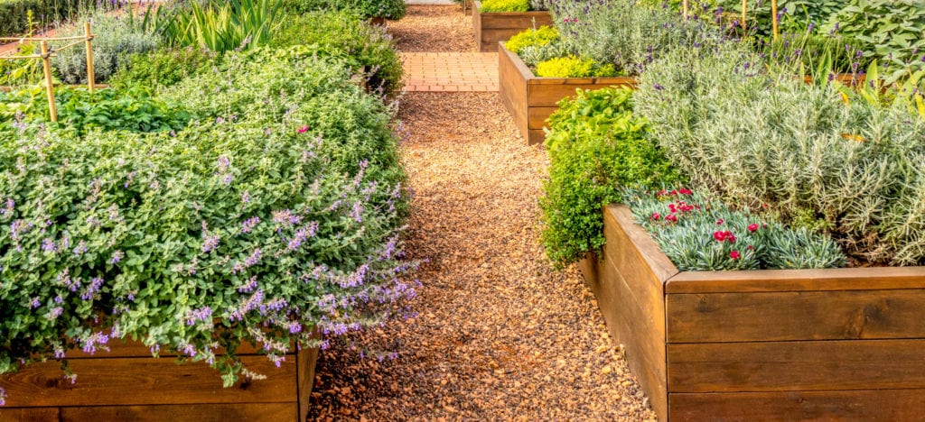 raised flower bed 