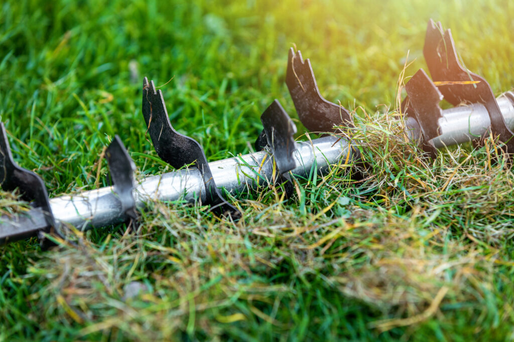lawn aerator