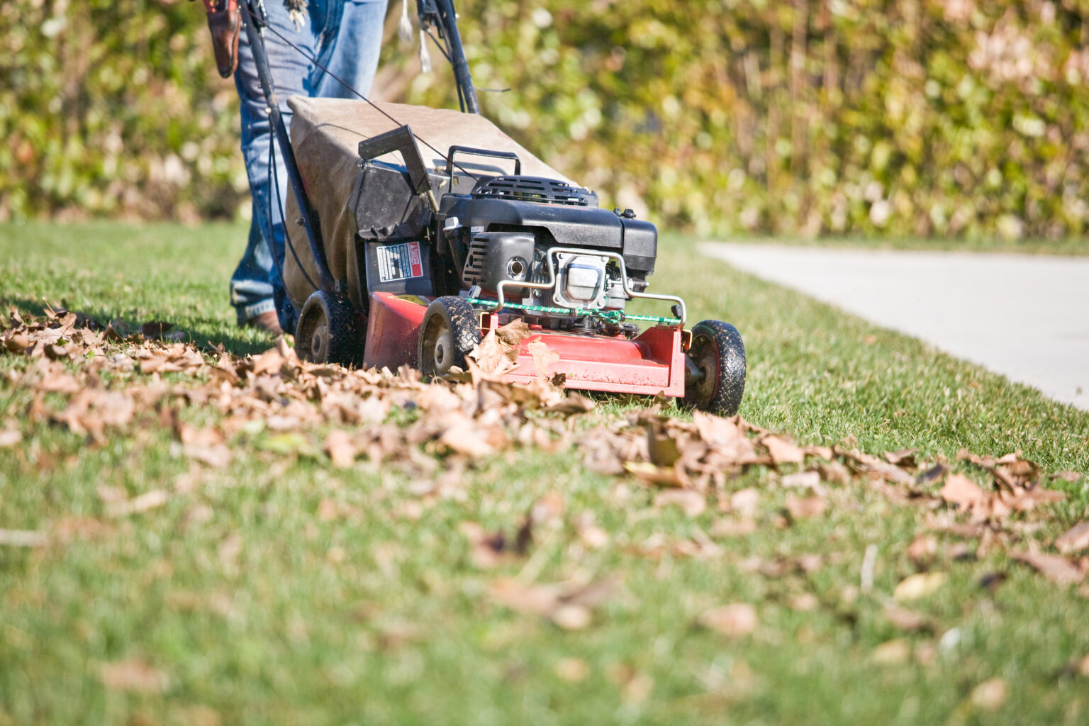 The Best Way to Sustainably Pick Up Leaves MYMOVE