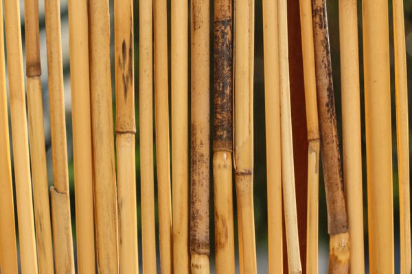 Bamboo privacy screen