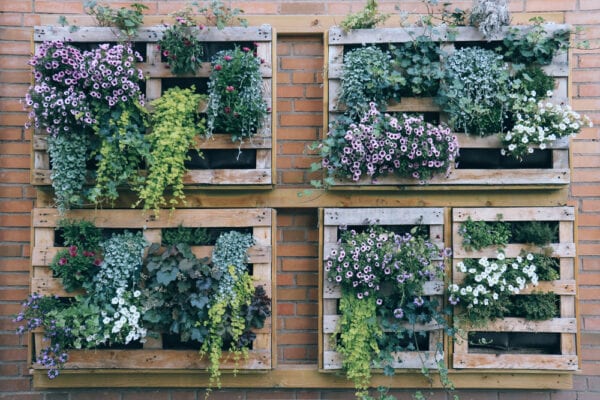 Wall planters on apartment balcony