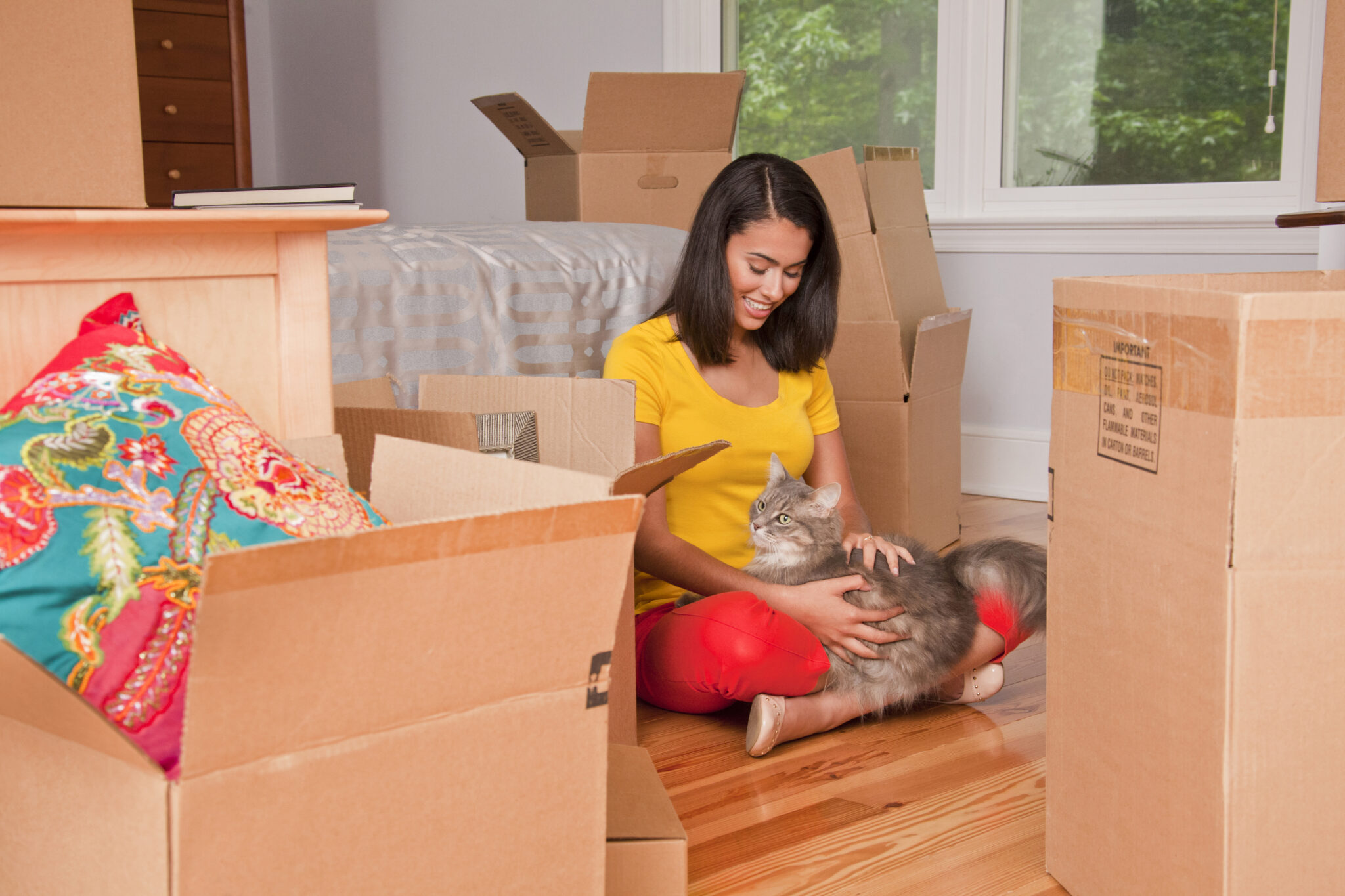 Tips for Moving with Cats MYMOVE