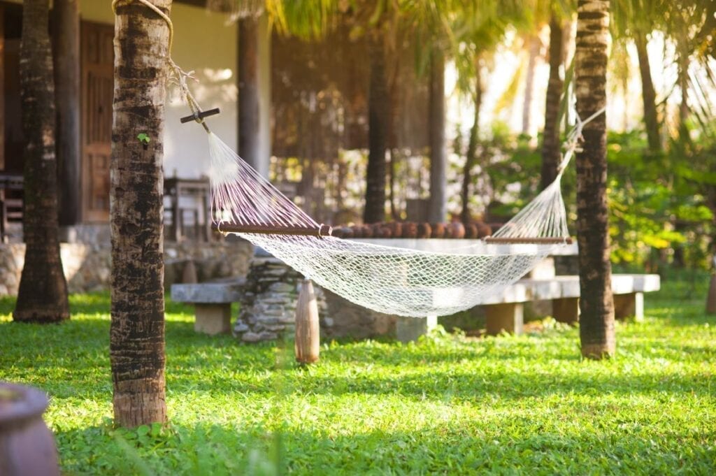 Relaxing hammock between two palm trees in yard