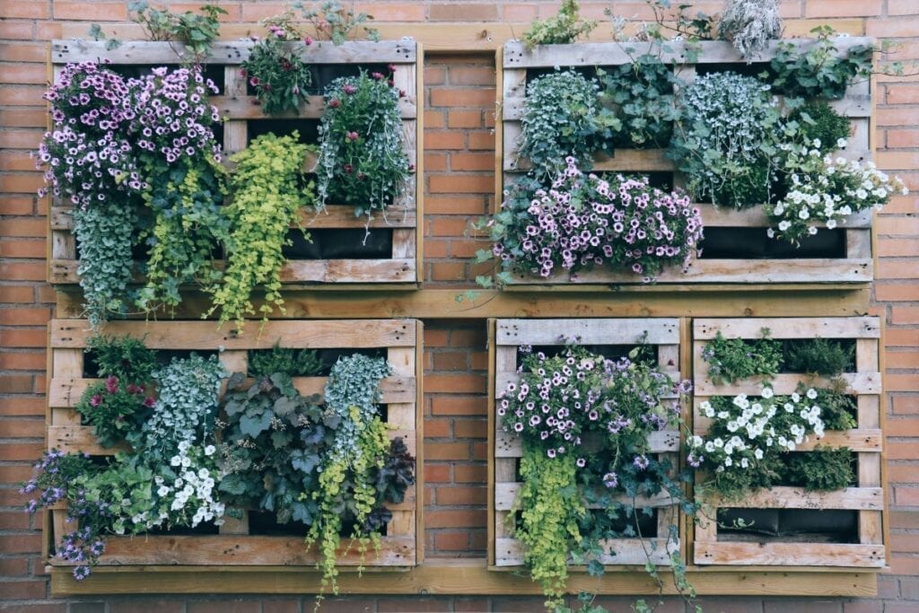 Planters on brick wall with vertical garden for small-yard landscaping