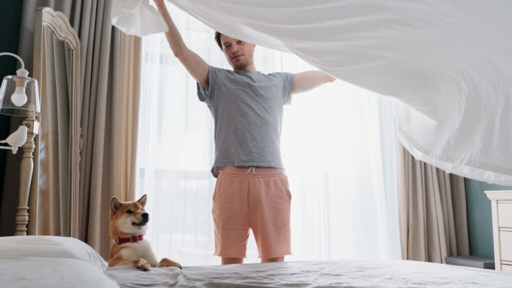 Young Man And His Funny Dog Are Putting The Bedding Cover Or Mattress Pad On The Bed