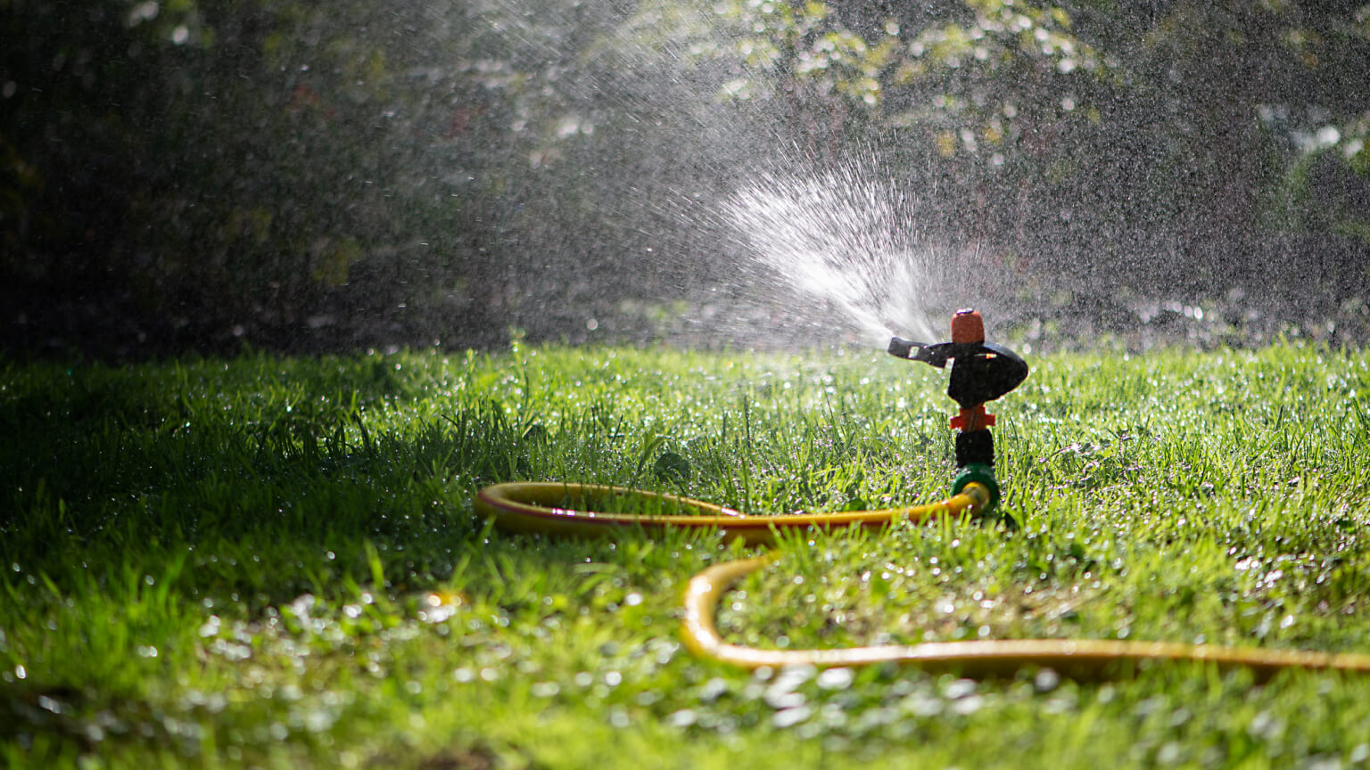 Automatic Sprinkler System Watering The Lawn