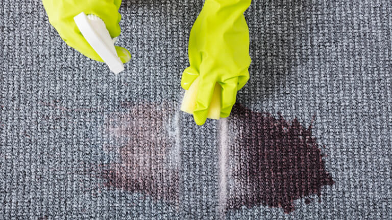 Woman Wiping Stains On The Carpet With Spray Bottle