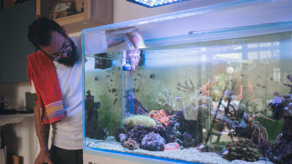 Bearded man cleaning reef tank.