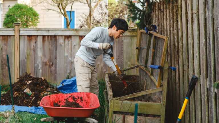 A man uses a pitchfork to shovel compost into a red wheelbarrow