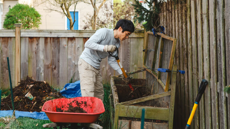 A man uses a pitchfork to shovel compost into a red wheelbarrow