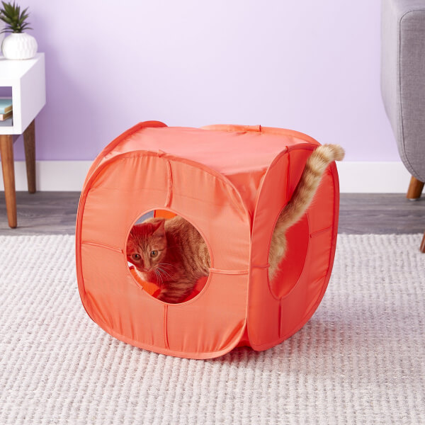 The Best Pet Beds and Accessories According to the MYMOVE Pets MYMOVE