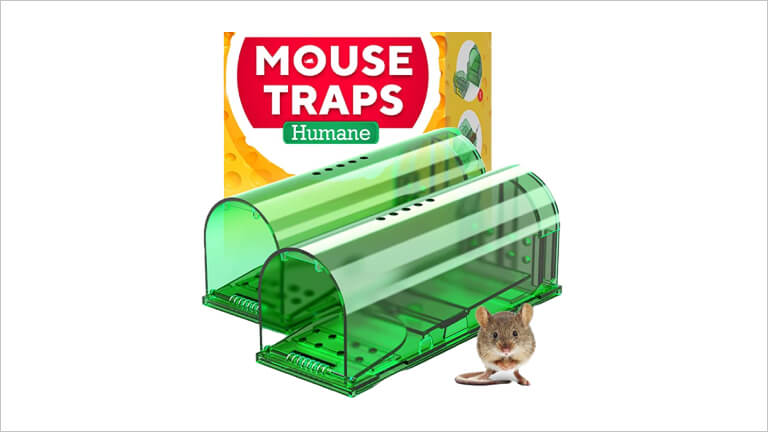 Intruder The Better Rodent Trap (Single) - Yahoo Shopping